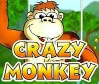 Crazy Monkey